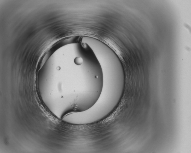 X0000096480948200802141719