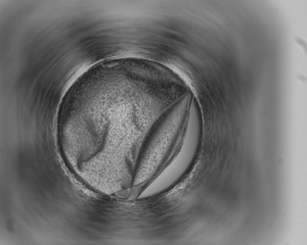 X0000096480949200802141719