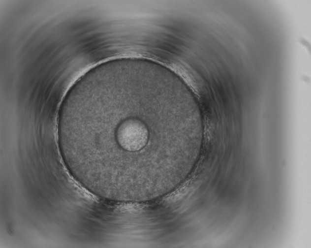 X0000096480950200802141719