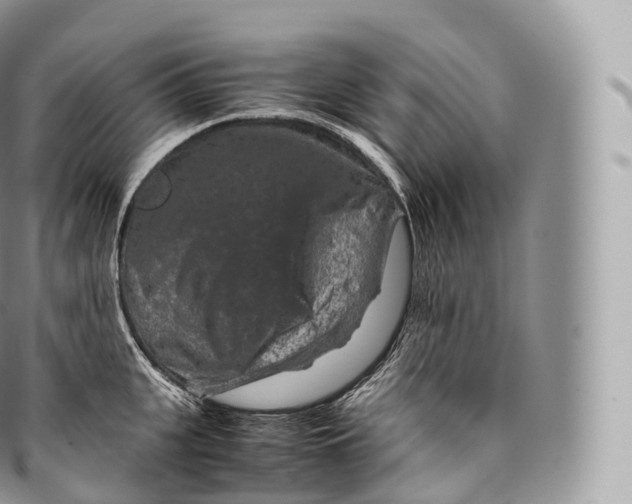 X0000096480951200802141719