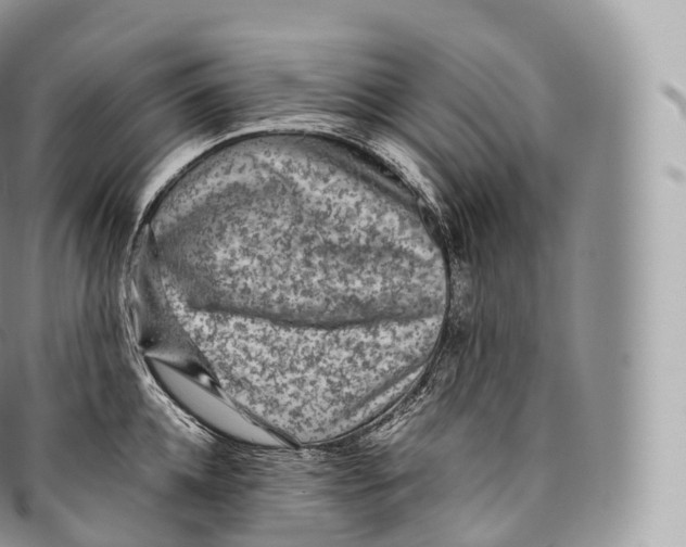 X0000096480952200802141719