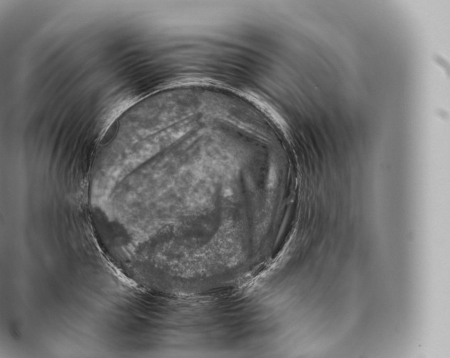 X0000096480953200802141719