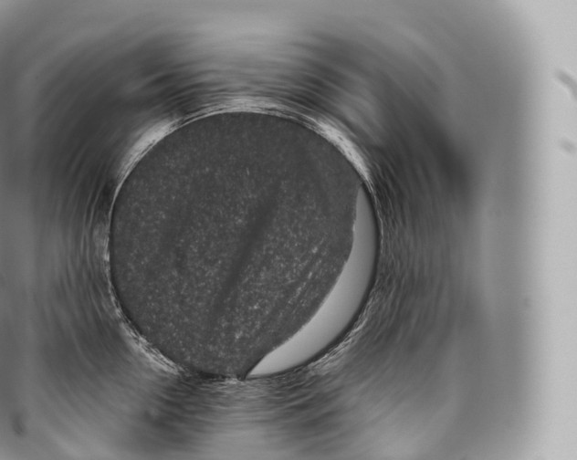 X0000096480954200802141719