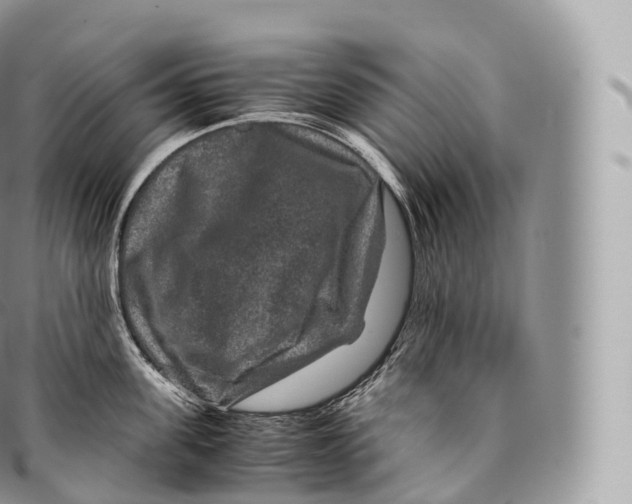 X0000096480955200802141719