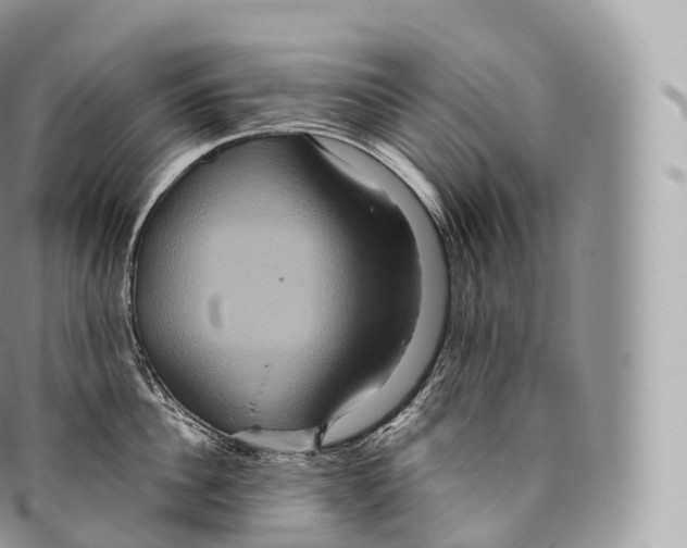 X0000096480956200802141719