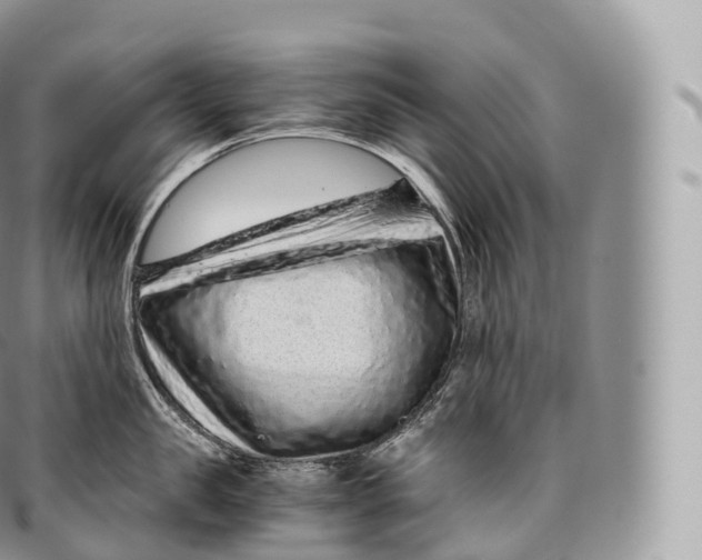 X0000096480957200802141719