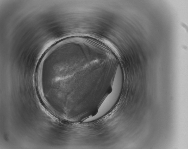 X0000096480958200802141719