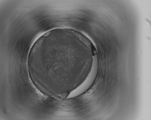 X0000096480959200802141719