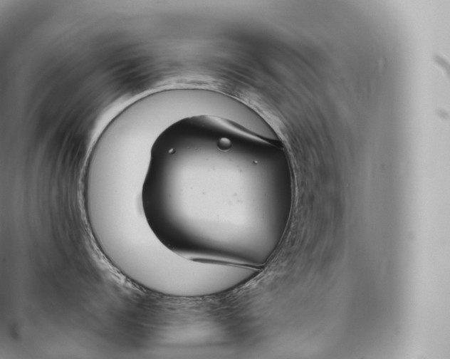 X0000096480960200802141719