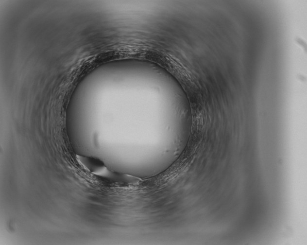 X0000096480961200802141718