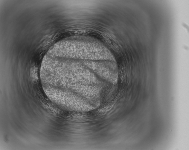 X0000096480962200802141718