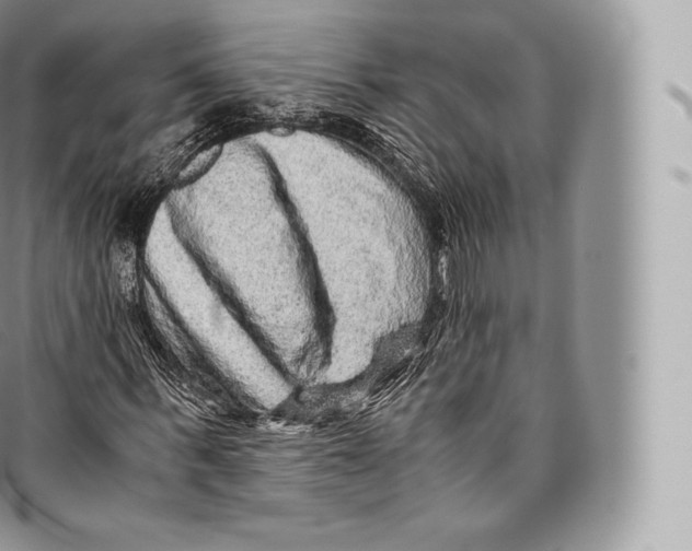 X0000096480963200802141718