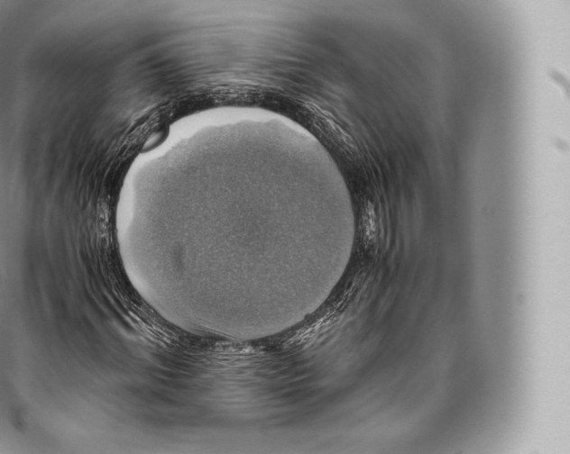 X0000096480964200802141718