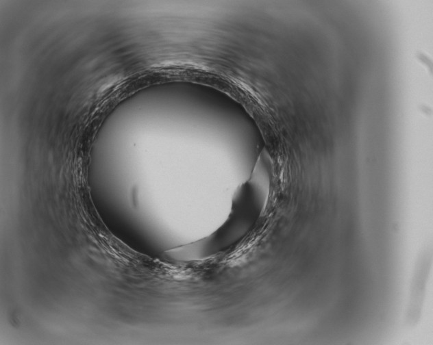 X0000096480965200802141718