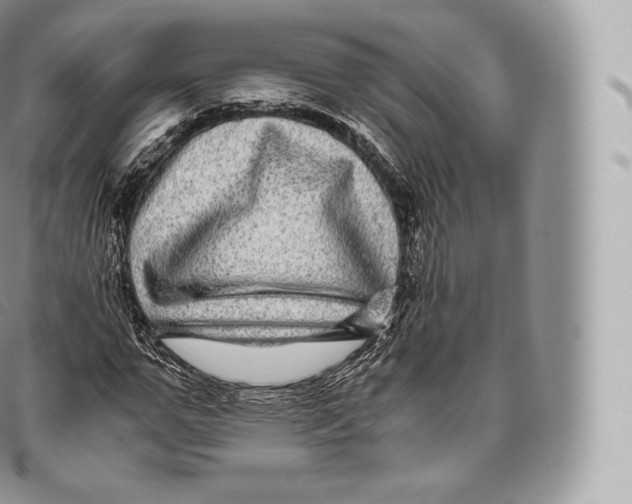 X0000096480967200802141718