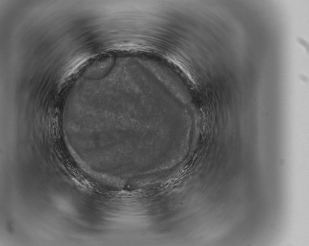 X0000096480968200802141718