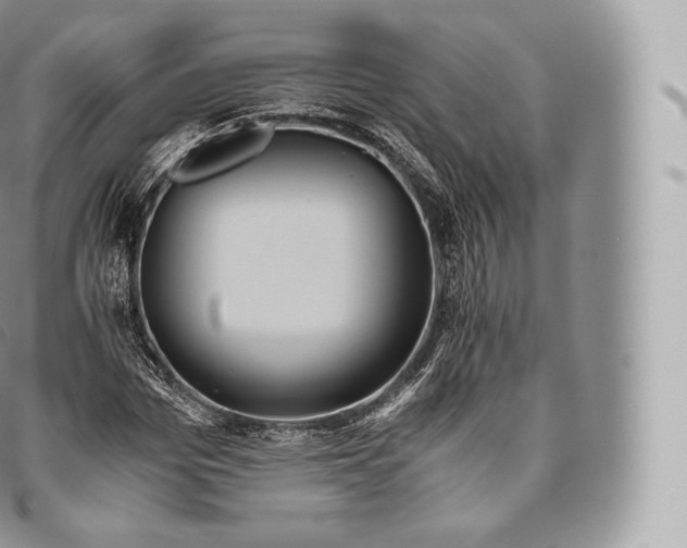 X0000096480969200802141718