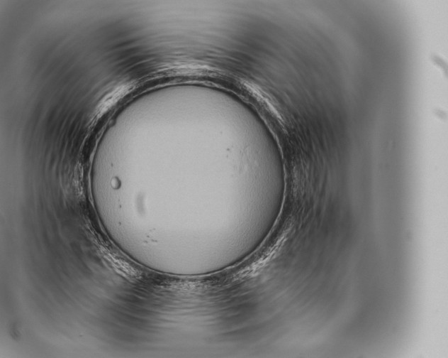 X0000096480970200802141718