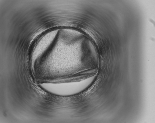 X0000096480971200802141718