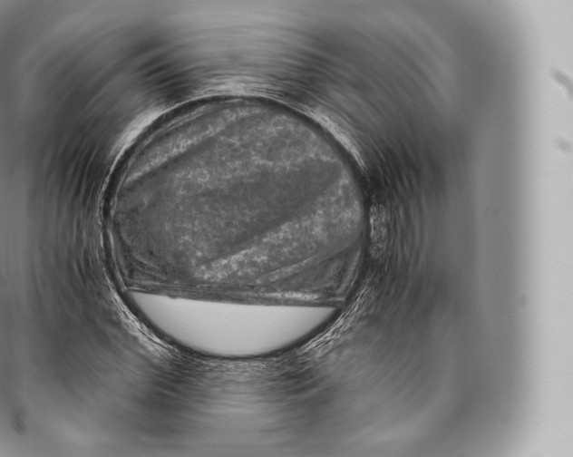 X0000096480972200802141718