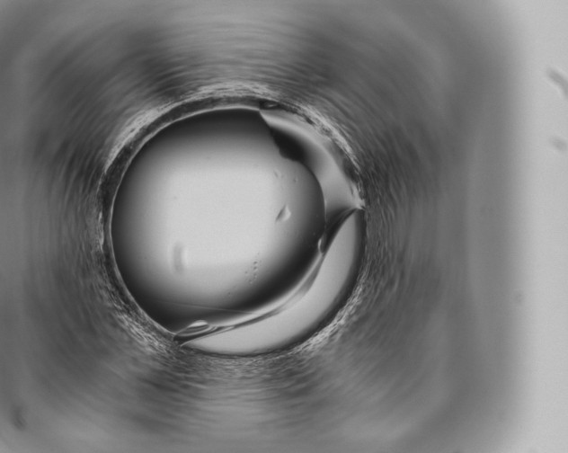 X0000096480973200802141718