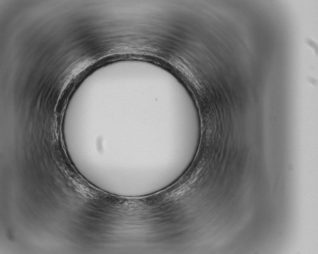 X0000096480974200802141718