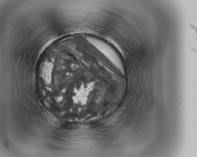 X0000096480975200802141718