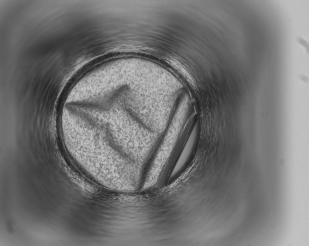 X0000096480976200802141718