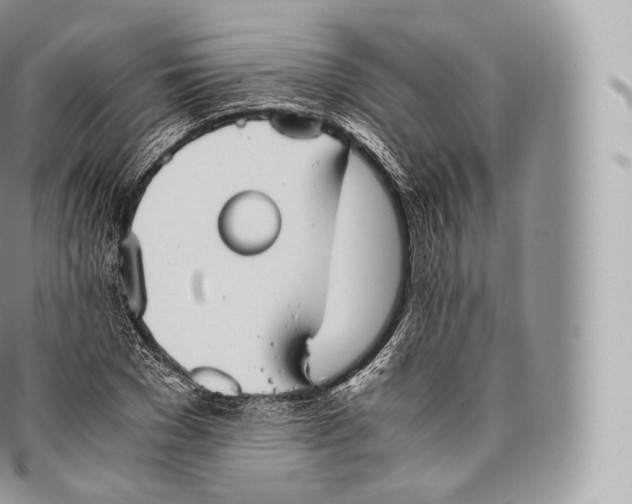 X0000096480977200802141718