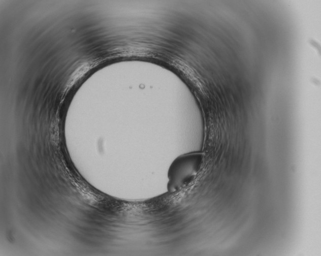 X0000096480978200802141718