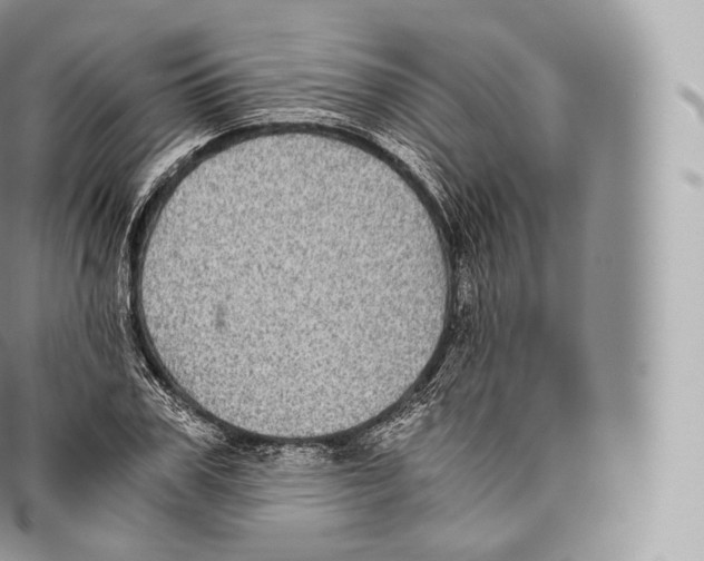 X0000096480979200802141718