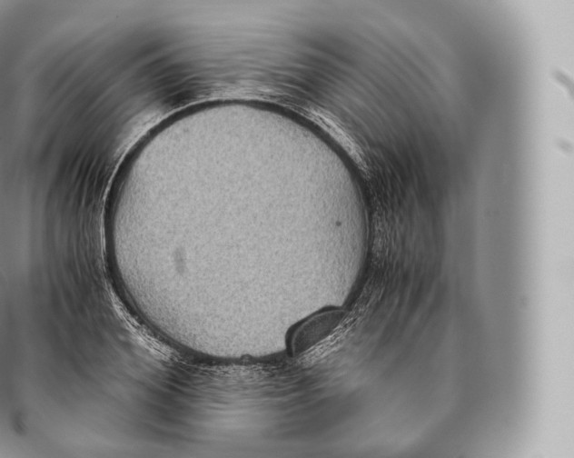 X0000096480980200802141718