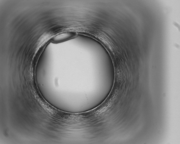 X0000096480981200802141718