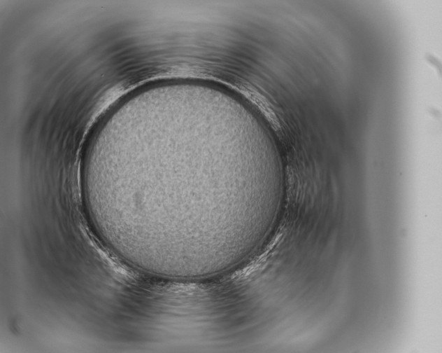 X0000096480982200802141718