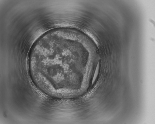 X0000096480983200802141718