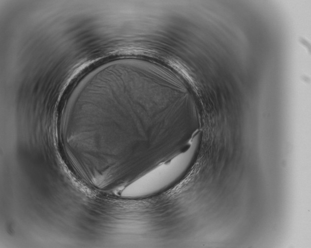 X0000096480984200802141718