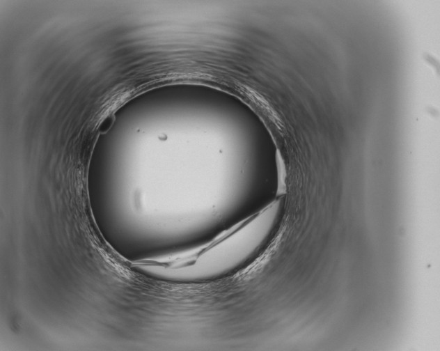 X0000096480985200802141718