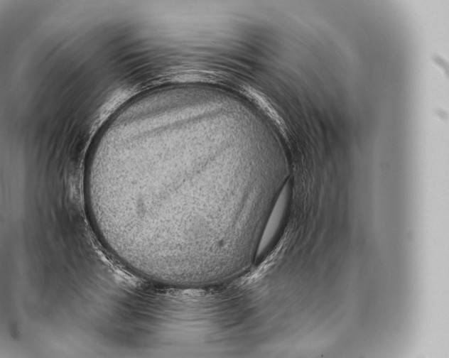 X0000096480986200802141718