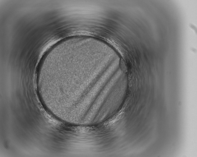 X0000096480987200802141718