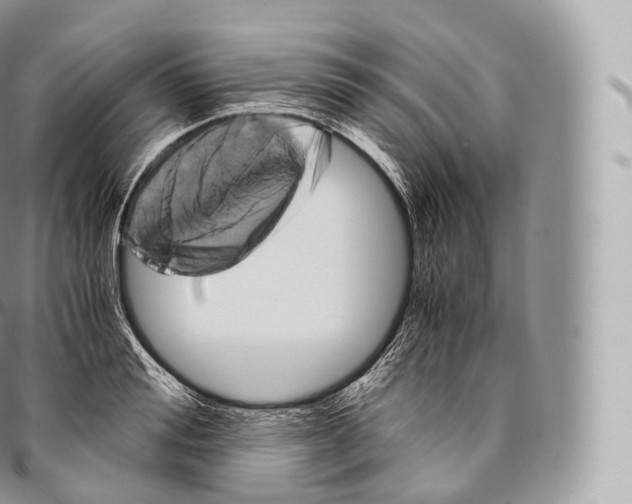 X0000096480988200802141718