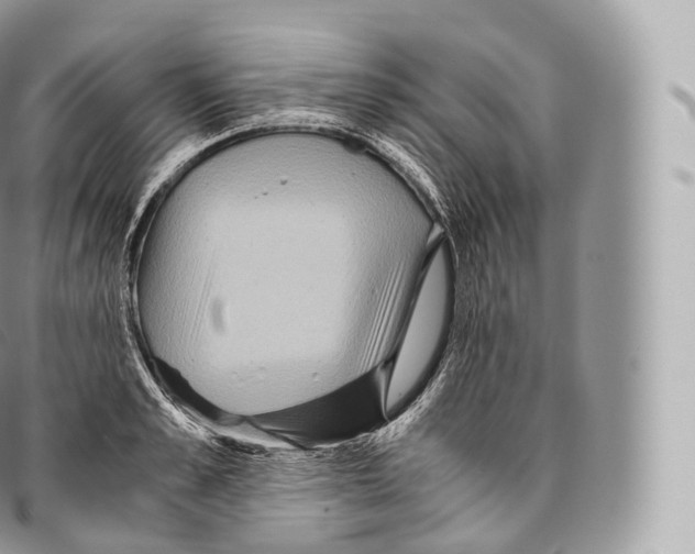 X0000096480989200802141718