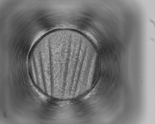 X0000096480990200802141717