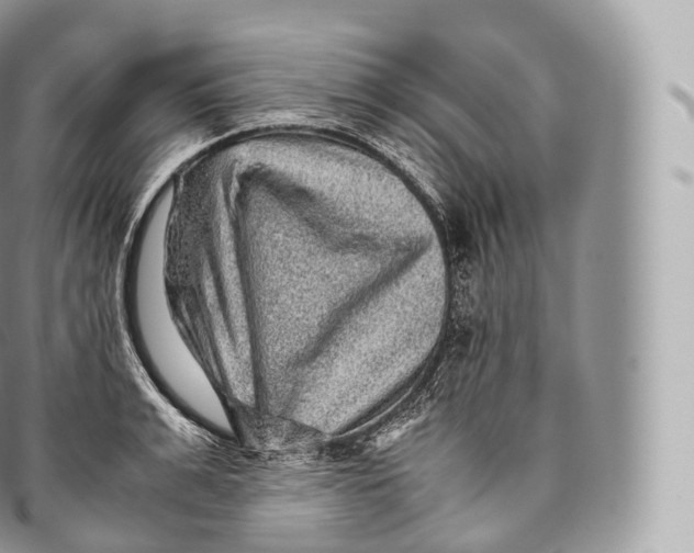 X0000096480991200802141717