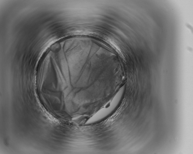 X0000096480992200802141717