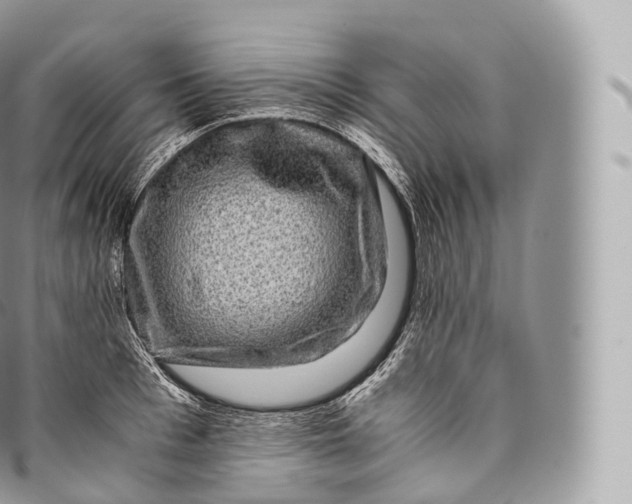 X0000096480993200802141717