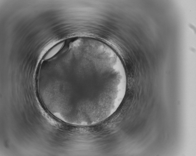 X0000096480995200802141717