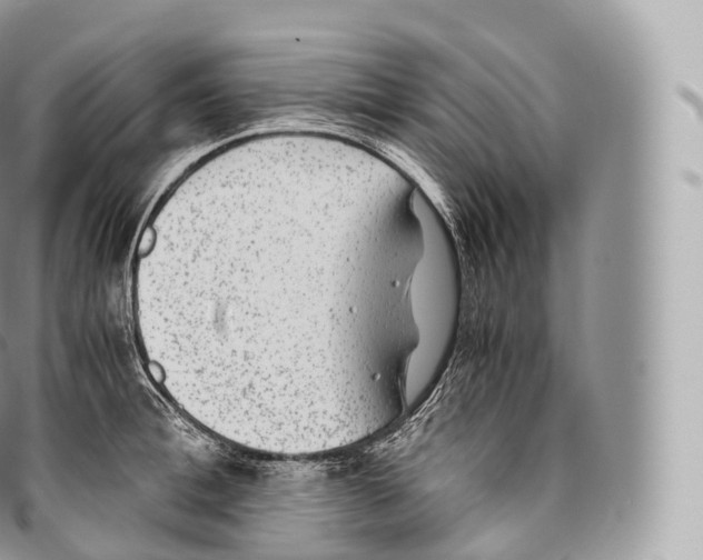 X0000096480996200802141717