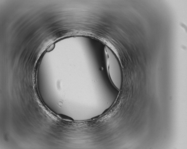 X0000096480997200802141717