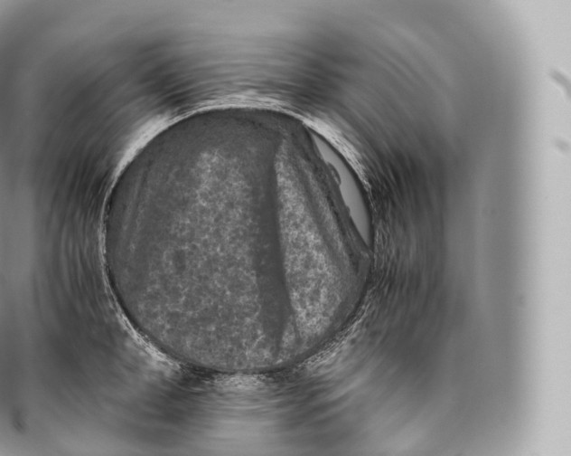 X0000096480998200802141717