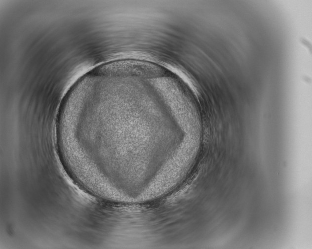 X0000096480999200802141717